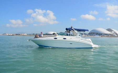 Sea Ray 315