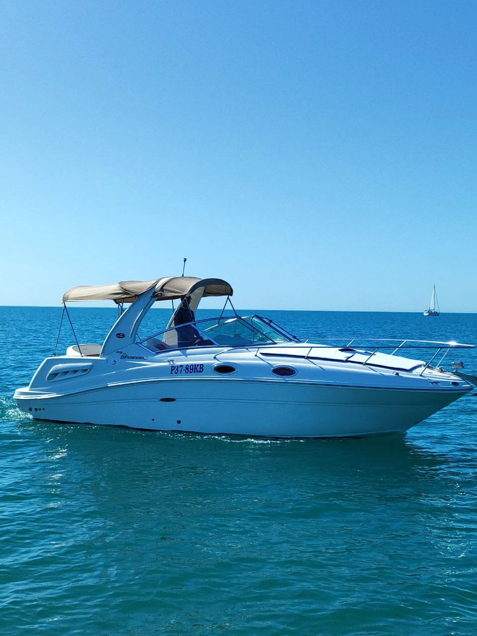 Sea Ray 275