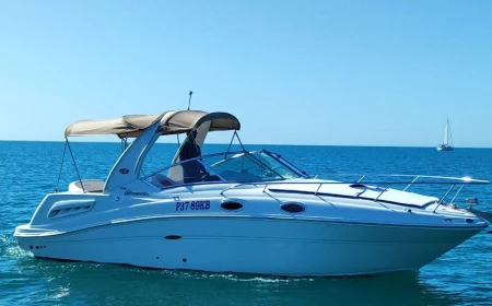 Sea Ray 275